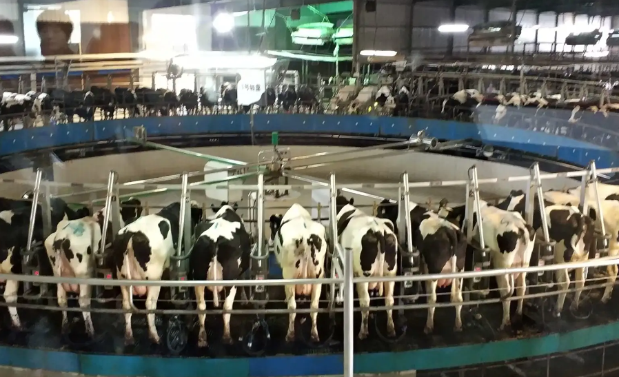 707e51f8-78db-484e-9423-dcf5a48cb4e9.png 707e51f8-78db-484e-9423-dcf5a48cb4e9.png