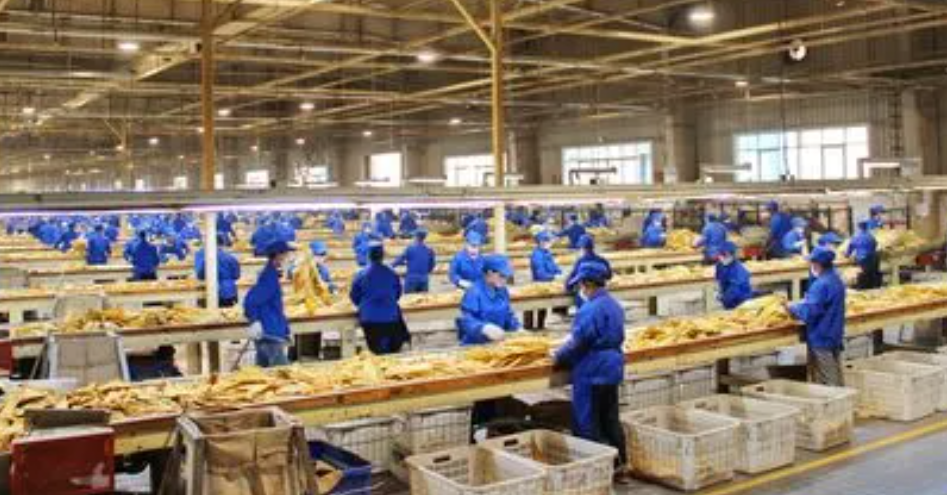 1724054811092.png 1724054811092.png